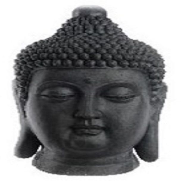 Picture of 60CM  BUDDHA HEAD 9987568
