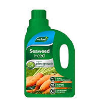 Picture of 1LT CONCENTRATE SEAWEED FEED