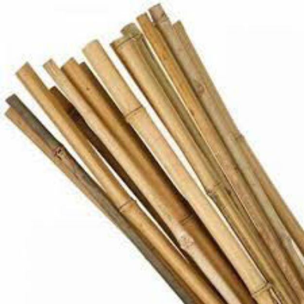 Picture of 4FT BAMBOO CANE 10-12MM