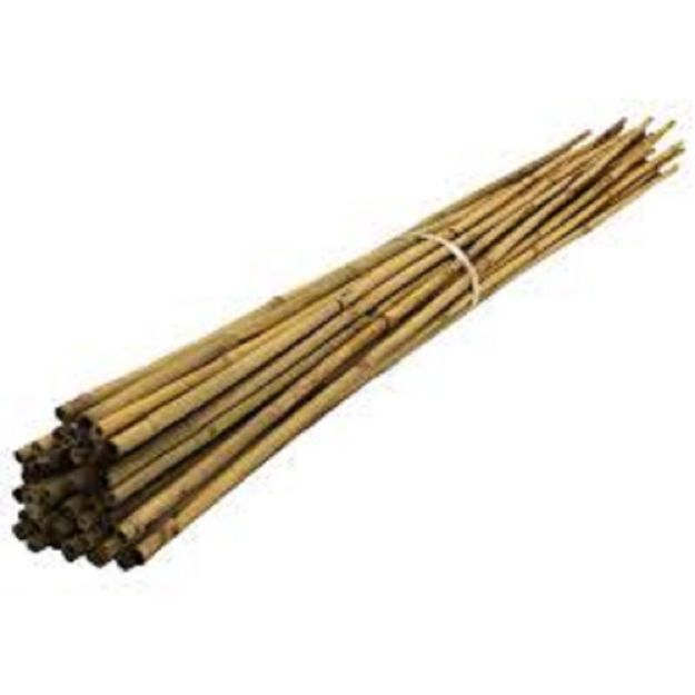 Picture of 6FT BAMBOO CANES 12-14MM