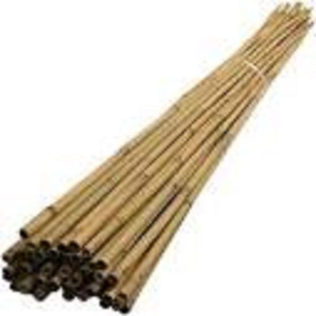 Picture of 8FT BAMBOO CANE 12-14MM