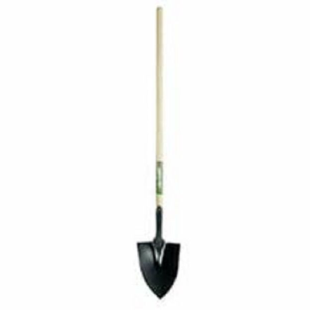 Picture of DARBY SHOVEL 4.5FT 130452
