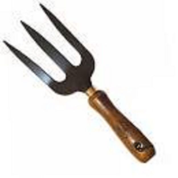 Picture of GARDEN HAND FORK