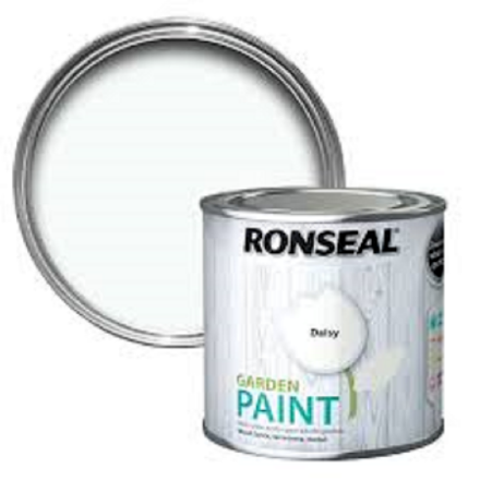 Picture of 250ML RONSEAL GARDEN PAINT DAISY