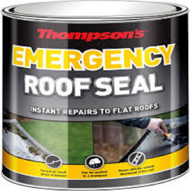 Picture of THOMPSONS EMERGENCY ROOF SEAL 2.5 LITRE