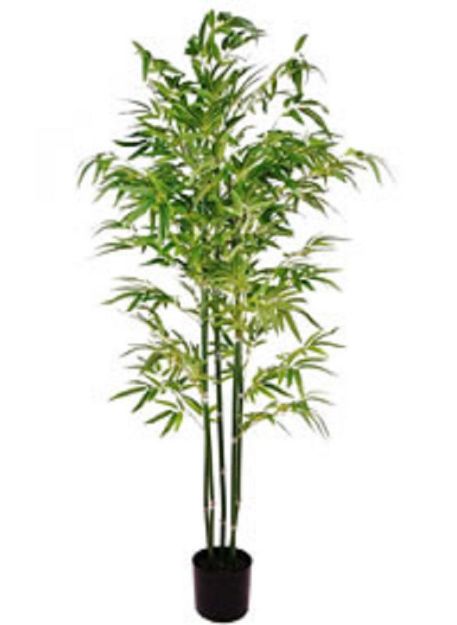 Picture of ARTIFICIAL BAMBOO TREE - 4FT