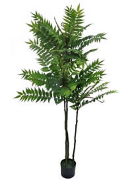 Picture of ARTIFICIAL FERN TREE