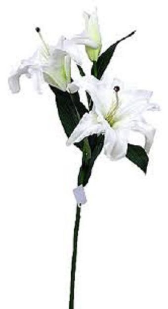 Picture of LILY ON STEM 3  FLOWERS WHITE/YELLOW