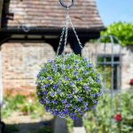 Picture of TOPIARY LILY BALL - 30CM