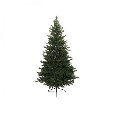 Picture of KINGSTON PINE TREE - 10FT