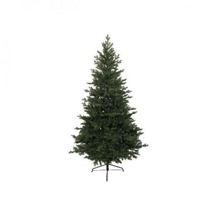 Picture of KINGSTON PINE TREE - 7FT