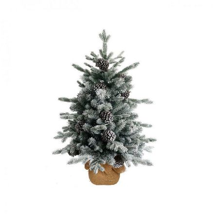 Picture of Snowy Dorchester Pine Miniature Christmas Tree - 3ft