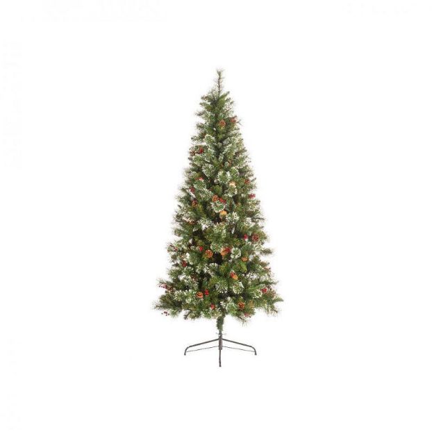 Picture of ISPWICH PINE TREE - 7FT