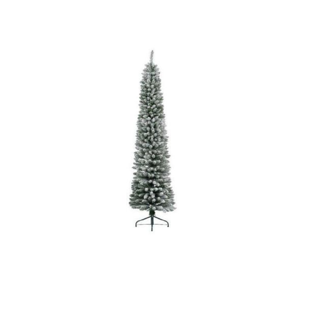 Picture of Snowy Pencil Pine Tree - 7ft