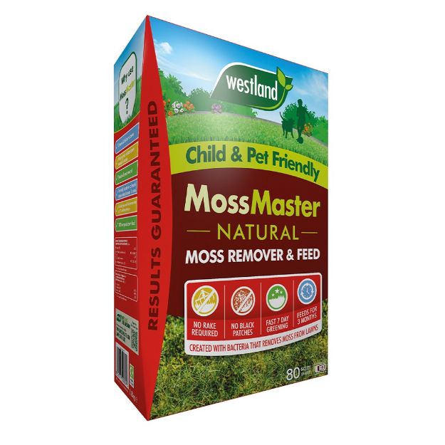 Picture of WESTLAND 80M2 BOX MOSS MASTER