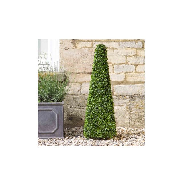 Picture of BOXWOOD TOPIARY OBELISK - 90CM