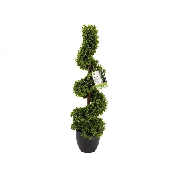 Picture of TOPIARY TWIRL TREE