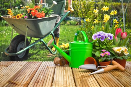 Picture for category GARDENING SUPPLIES
