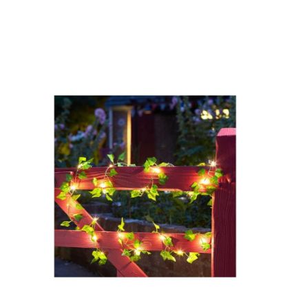 Picture of IVY FIREFLY SOLAR STRING LIGHT 30 LEDS
