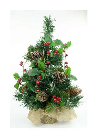 Picture for category SMALL CHRISTMAS TREES