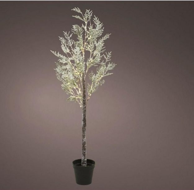 Picture of MICRO LED PINE TREE WITH SNOW IN A POT 1.8M(6FT)